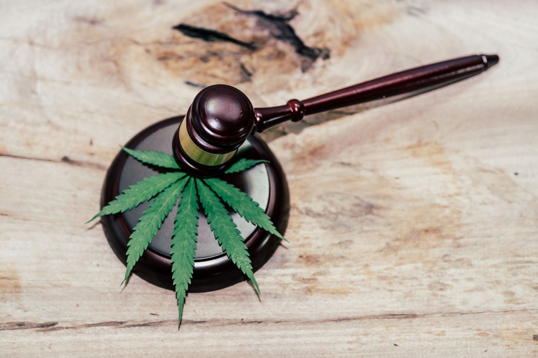 Understanding Marijuana Possession Laws In Pennsylvania